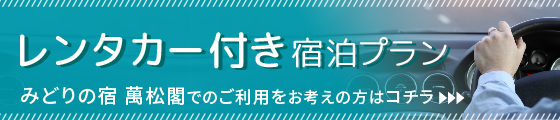 レンタカー付き宿泊プランはこちら