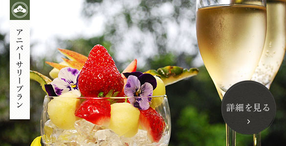 アニバーサリープラン