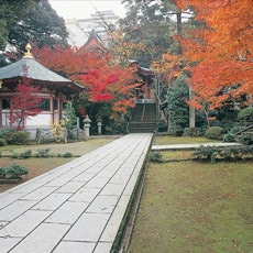 薬王院温泉寺